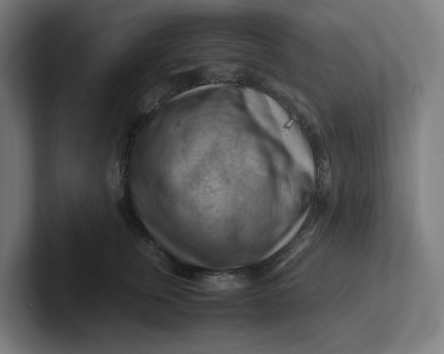 X0000102010759200808011142