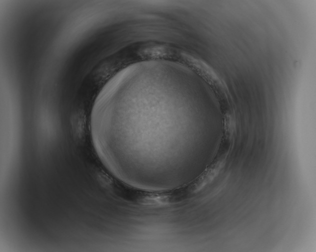 X0000102010760200808011142