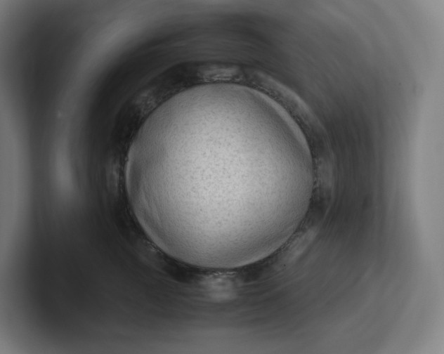 X0000102010761200808011142