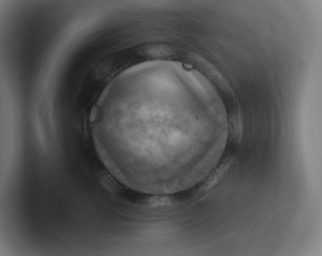 X0000102010762200808011142