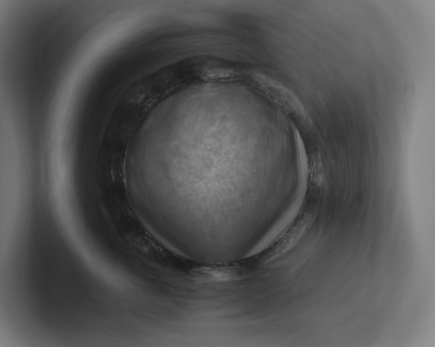 X0000102010763200808011142