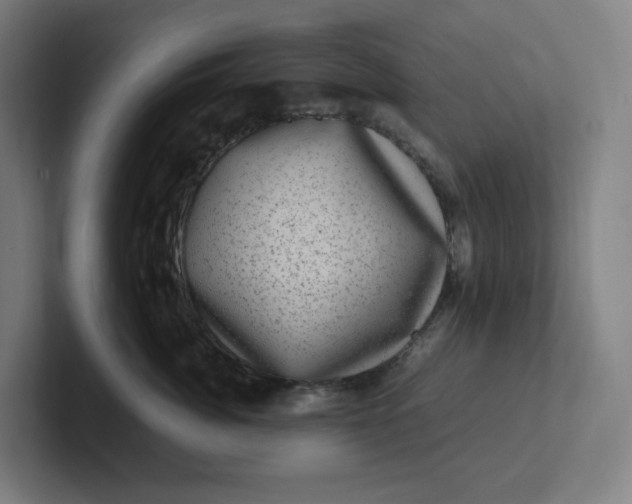 X0000102010764200808011142