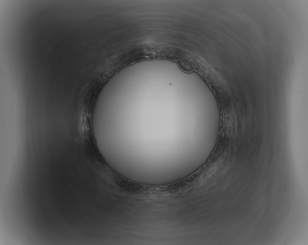 X0000102010770200808011142