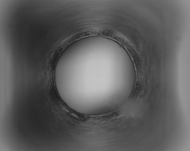 X0000102010773200808011142