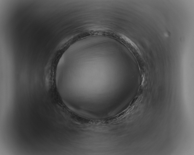 X0000102010775200808011142