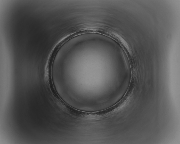 X0000102010779200808011142