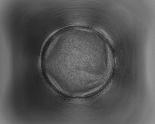 X0000102010780200808011142