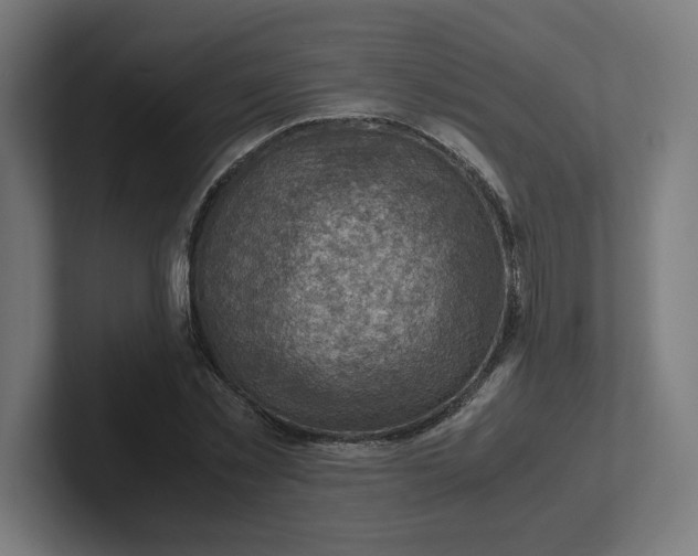 X0000102010781200808011142