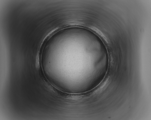 X0000102010782200808011142