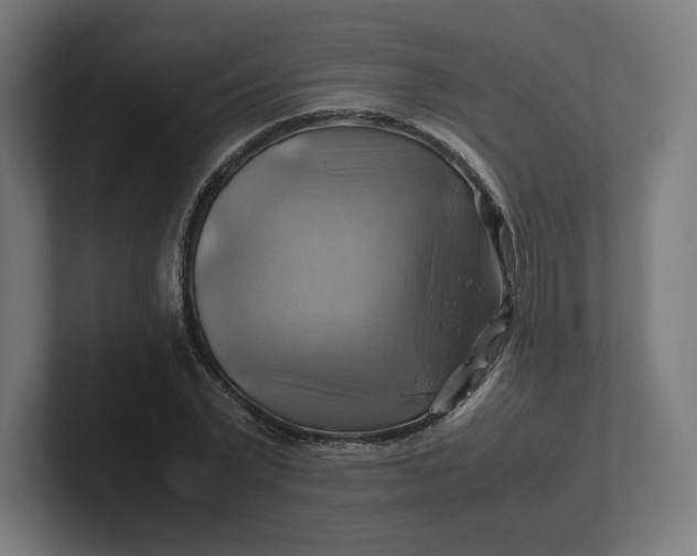 X0000102010783200808011142