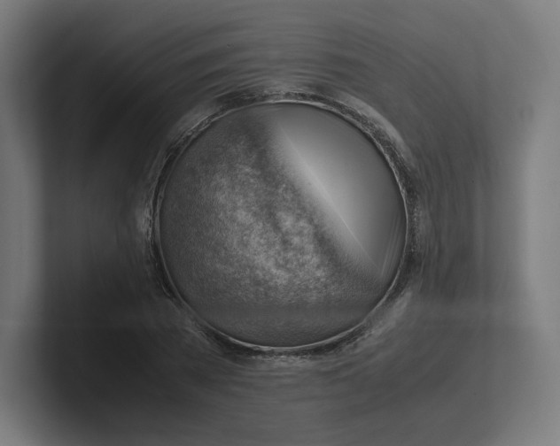 X0000102010785200808011142