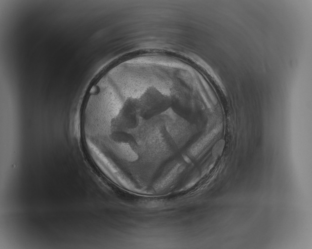 X0000102010791200808011141