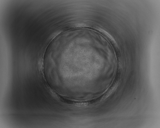 X0000102010793200808011141