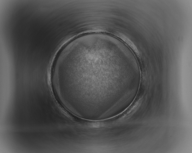 X0000102010797200808011141