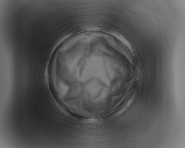 X0000102010806200808011141