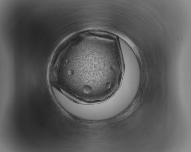 X0000102010807200808011141