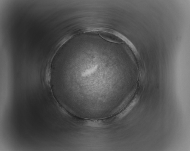 X0000102010809200808011141