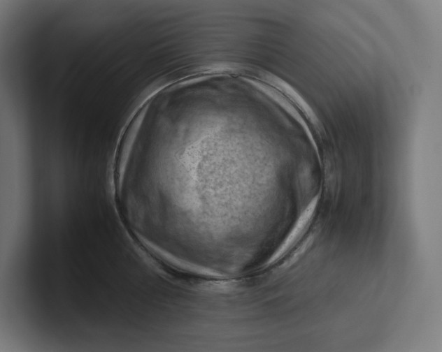 X0000102010810200808011141