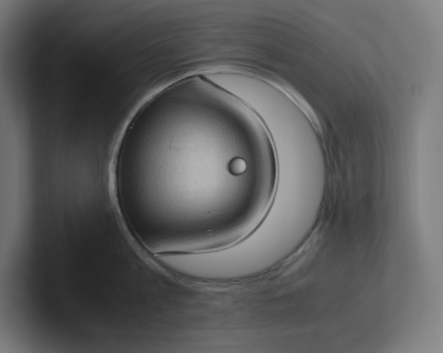 X0000102010813200808011141