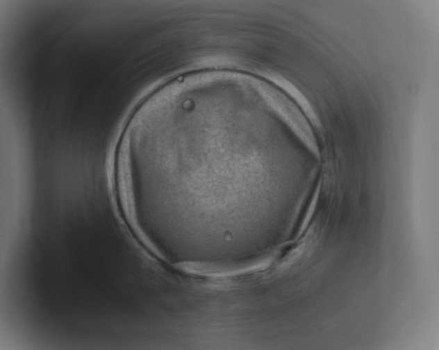 X0000102010815200808011141