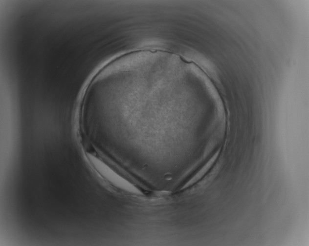 X0000102010816200808011141