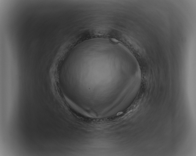 X0000102010817200808011140