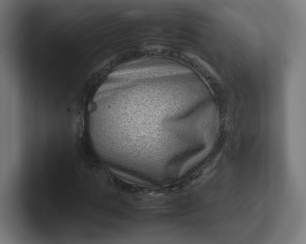 X0000102010821200808011141