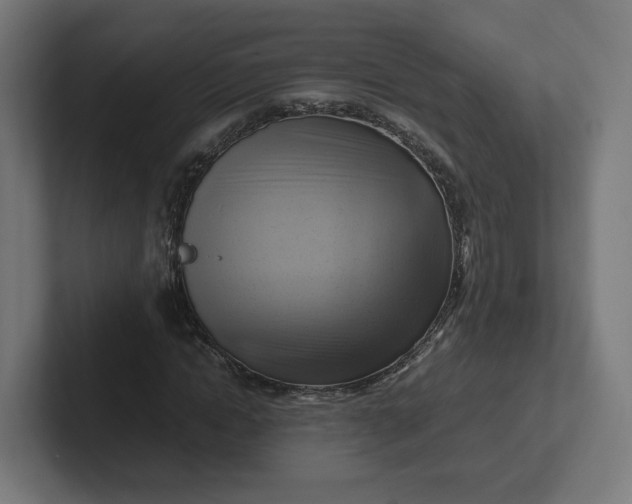 X0000102010822200808011141