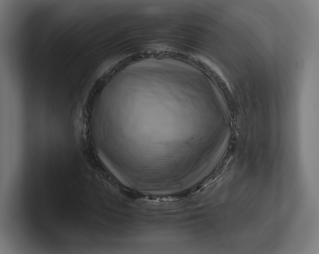 X0000102010823200808011141