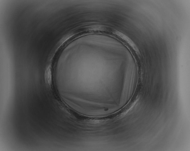 X0000102010829200808011141