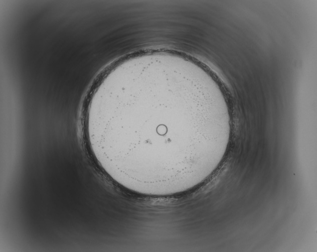 X0000102010832200808011141