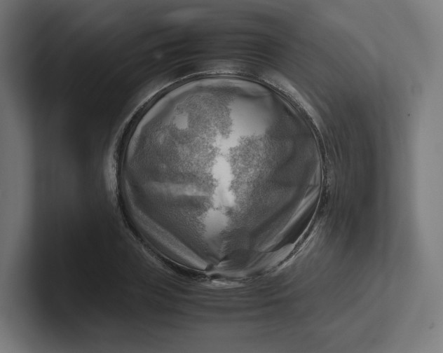 X0000102010835200808011141