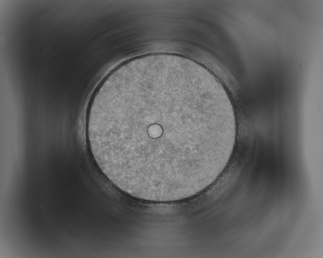 X0000102010836200808011141