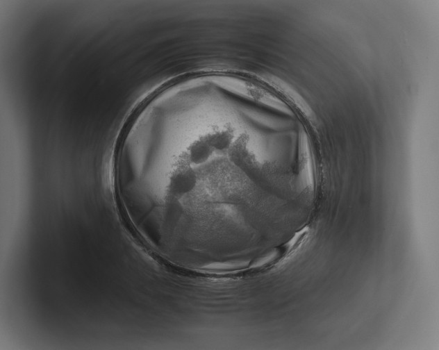 X0000102010839200808011141