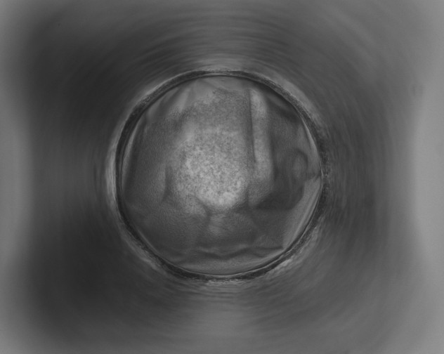 X0000102010840200808011141