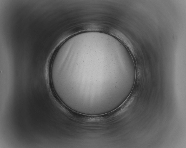 X0000102010843200808011141