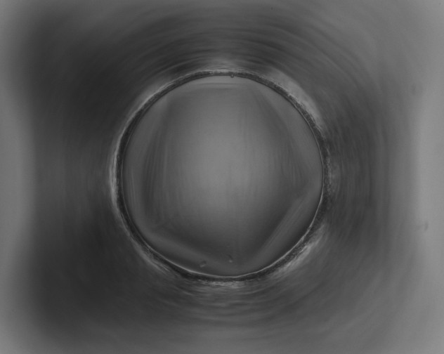 X0000102010845200808011141