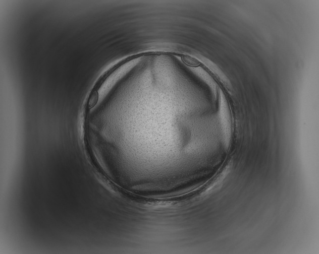 X0000102010846200808011141