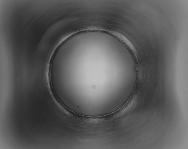 X0000102010847200808011141