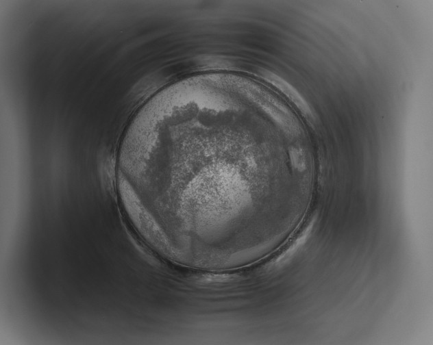 X0000102010849200808011141