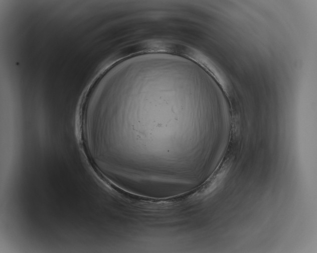 X0000102010851200808011141