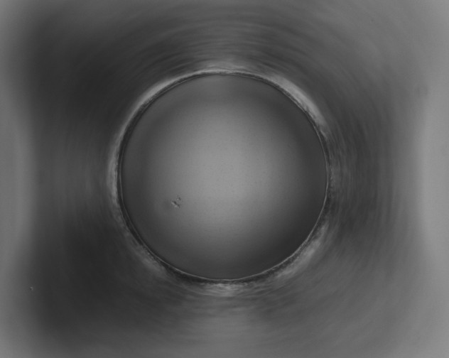 X0000102010854200808011141