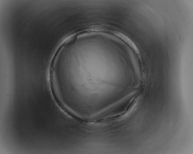 X0000102010855200808011141