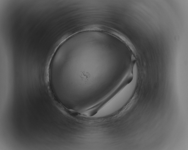 X0000102010858200808011141