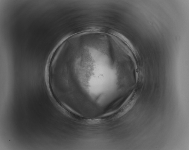 X0000102010859200808011141