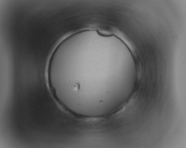 X0000102010861200808011141