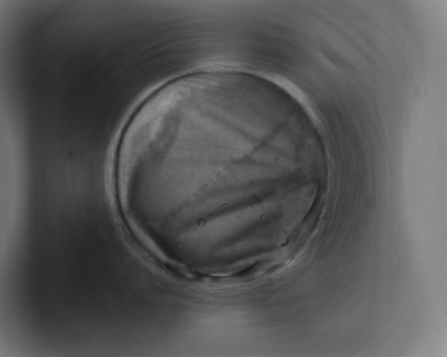 X0000102010864200808011141