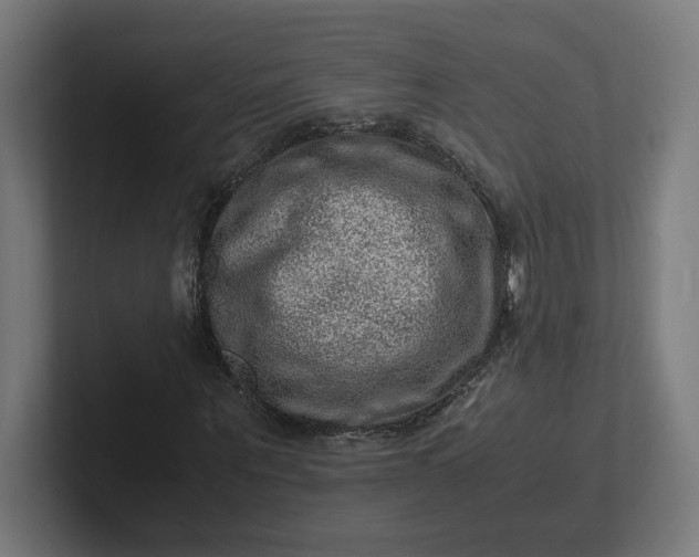 X0000102010867200808011140