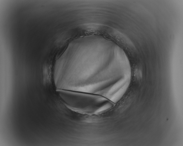 X0000102010868200808011140