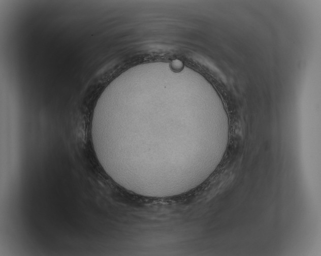 X0000102010869200808011140